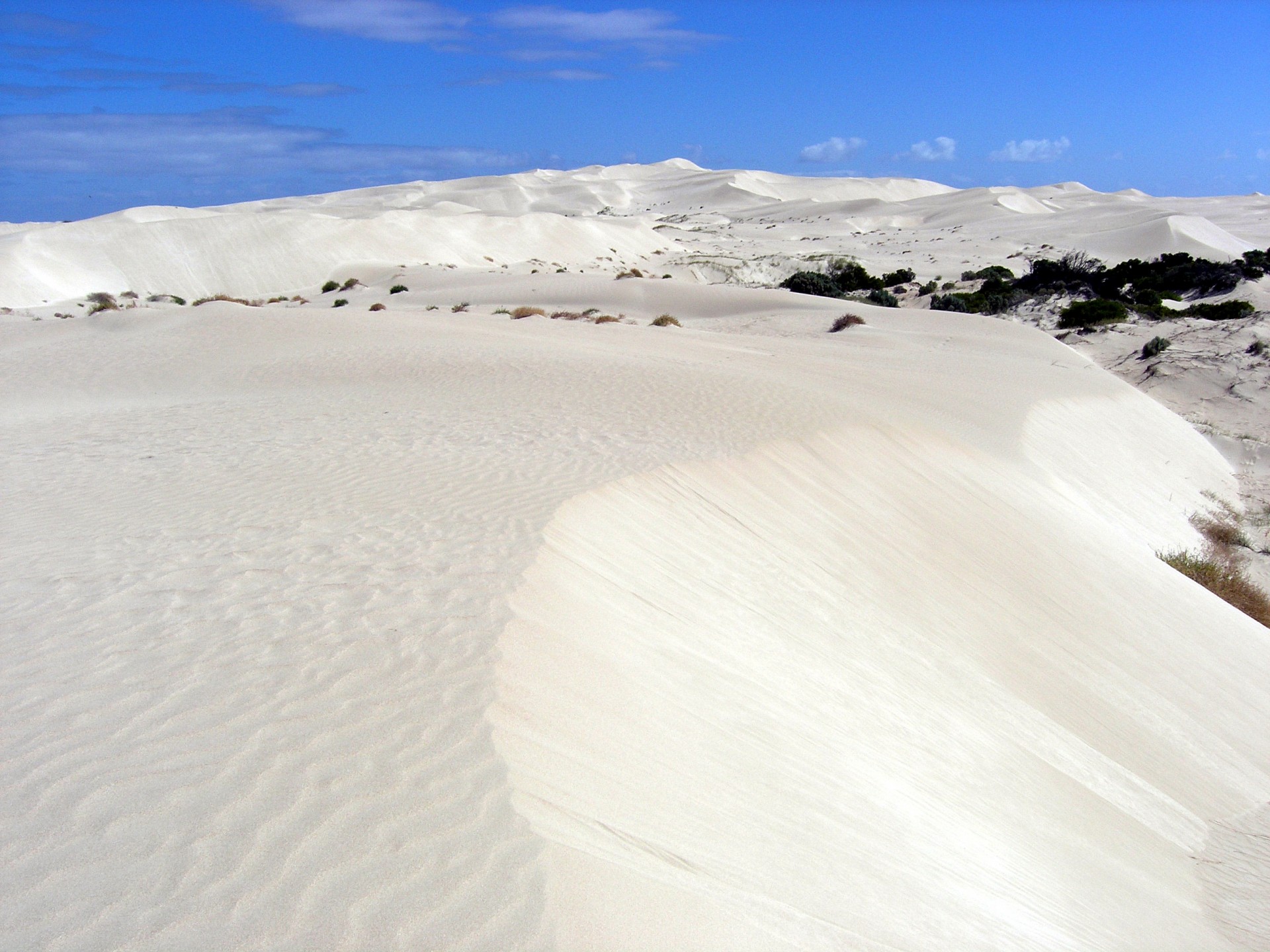 Inland Dunes