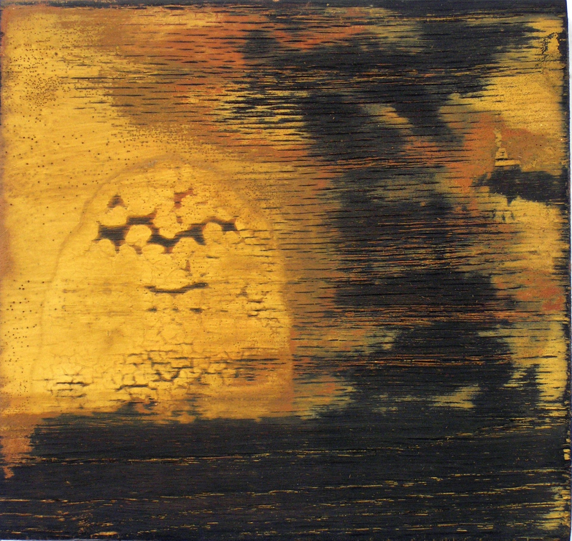 Burned Wood 1